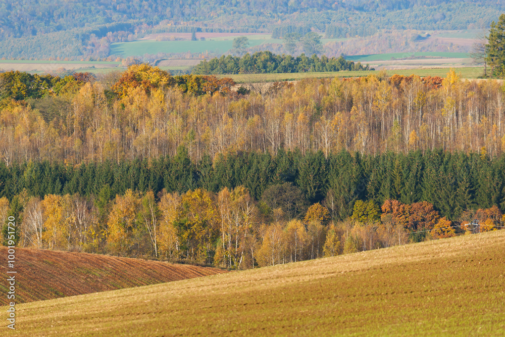 北海道美瑛の紅葉風景 北海道美瑛の紅葉風景