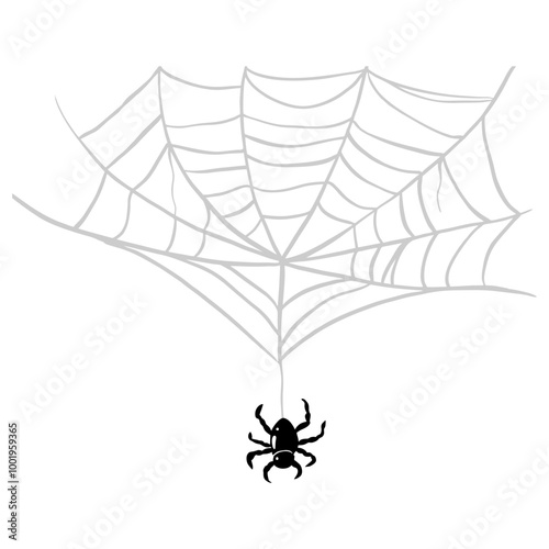 Wallpaper Mural spider on web vector illustration Torontodigital.ca