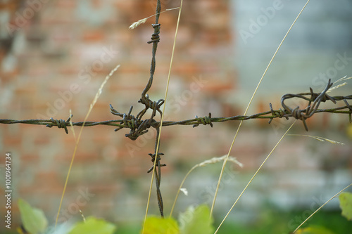 Rusty barbed wire close-up with blurred brick wall background photo