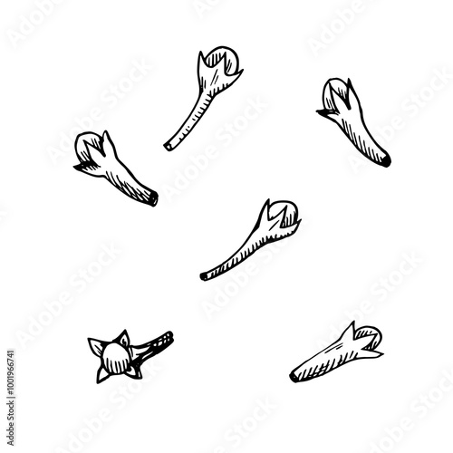 Clove seeds isolated on white background. Hand-drawn vector illustration in black and white engraving style.