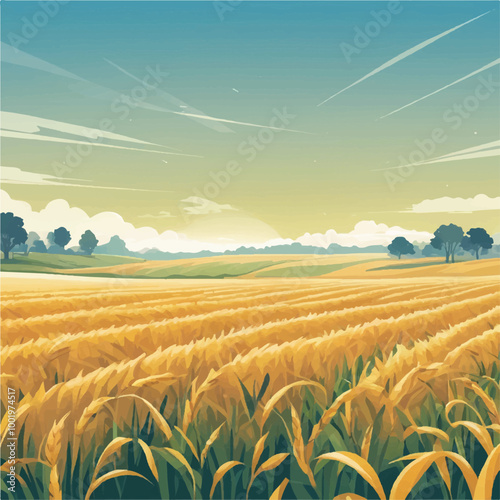 field of wheat