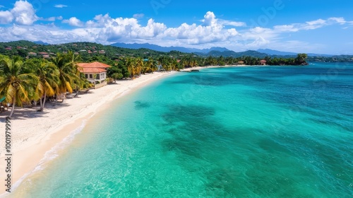 Tropical Beach Paradise with Palm Trees  Clear Water  and White Sand