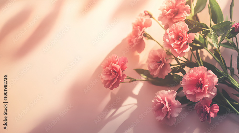 Pink Flowers in Soft Light for Greeting Card Pink Flowers in Soft Light for Greeting Card