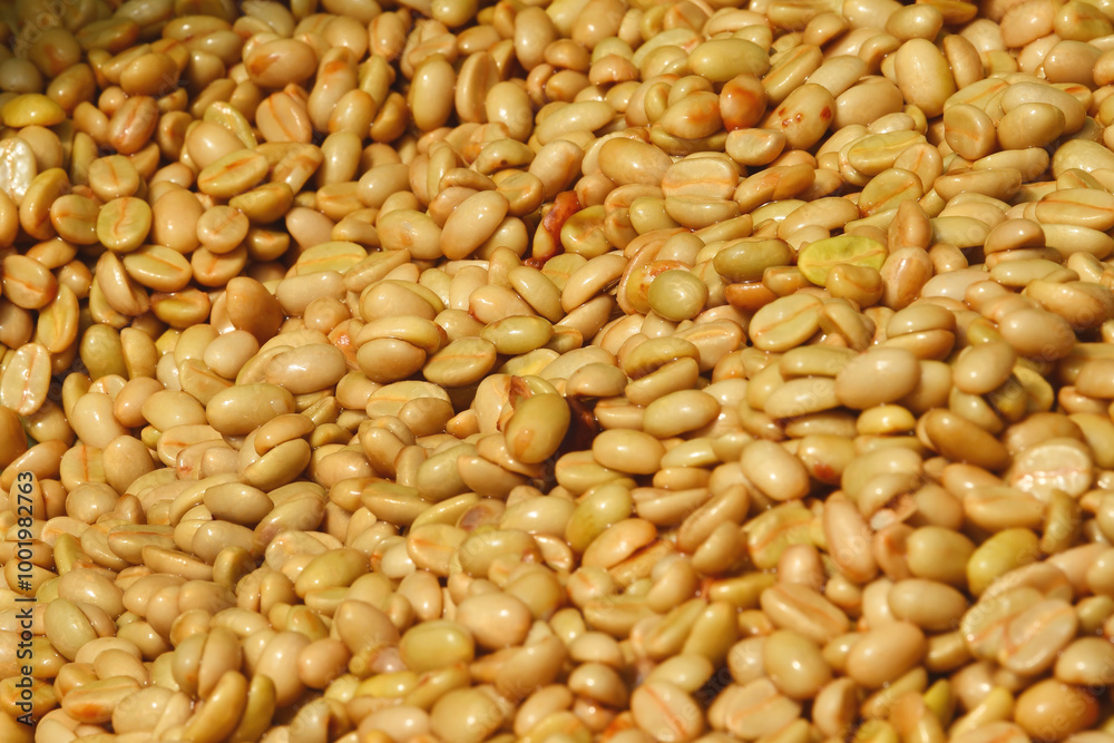 Coffee beans,In the ferment and wash method of wet processing Coffee beans,In the ferment and wash method of wet processing