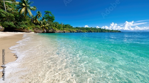 Tropical Beach Paradise with Clear Blue Water and White Sand
