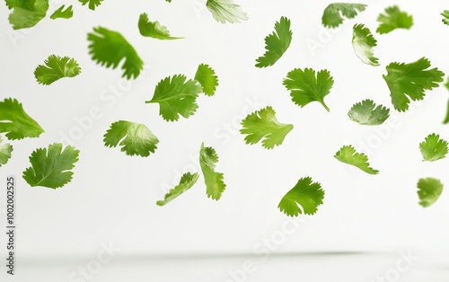 Floating Cilantro Leaves on White Background Generative AI