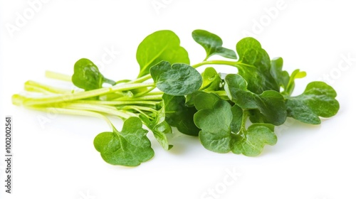 Fresh watercress leaves isolated on white background Generative AI