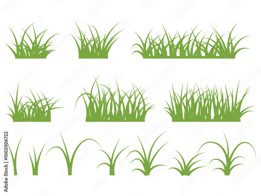 Obraz premium Grass collection, green leaf, nature land ecosystem