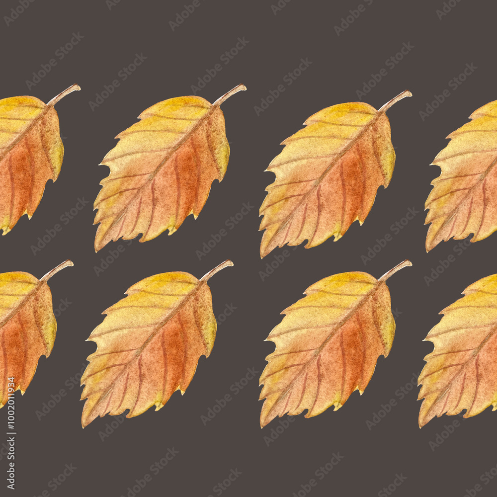 Asian oak leaf in orange shades hand painted watercolor seamless border on contrast background. High quality art in simple style for woodland designs, cards, textile, packages, textile, stationary Asian oak leaf in orange shades hand painted watercolor seamless border on contrast background. High quality art in simple style for woodland designs, cards, textile, packages, textile, stationary