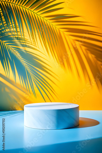 White background wall with palm shadows and white stone podium