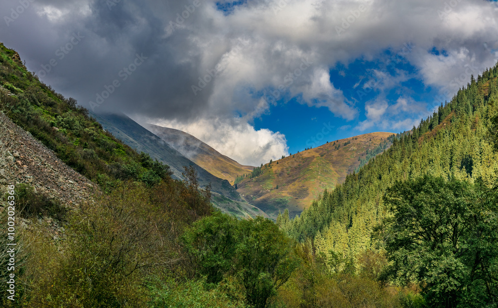 Obraz premium landscape with clouds
