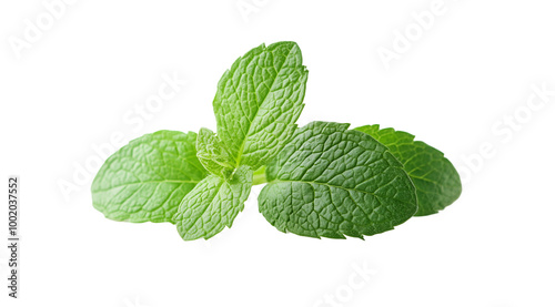 Mint leaves close up, created with Generative AI technology, PNG