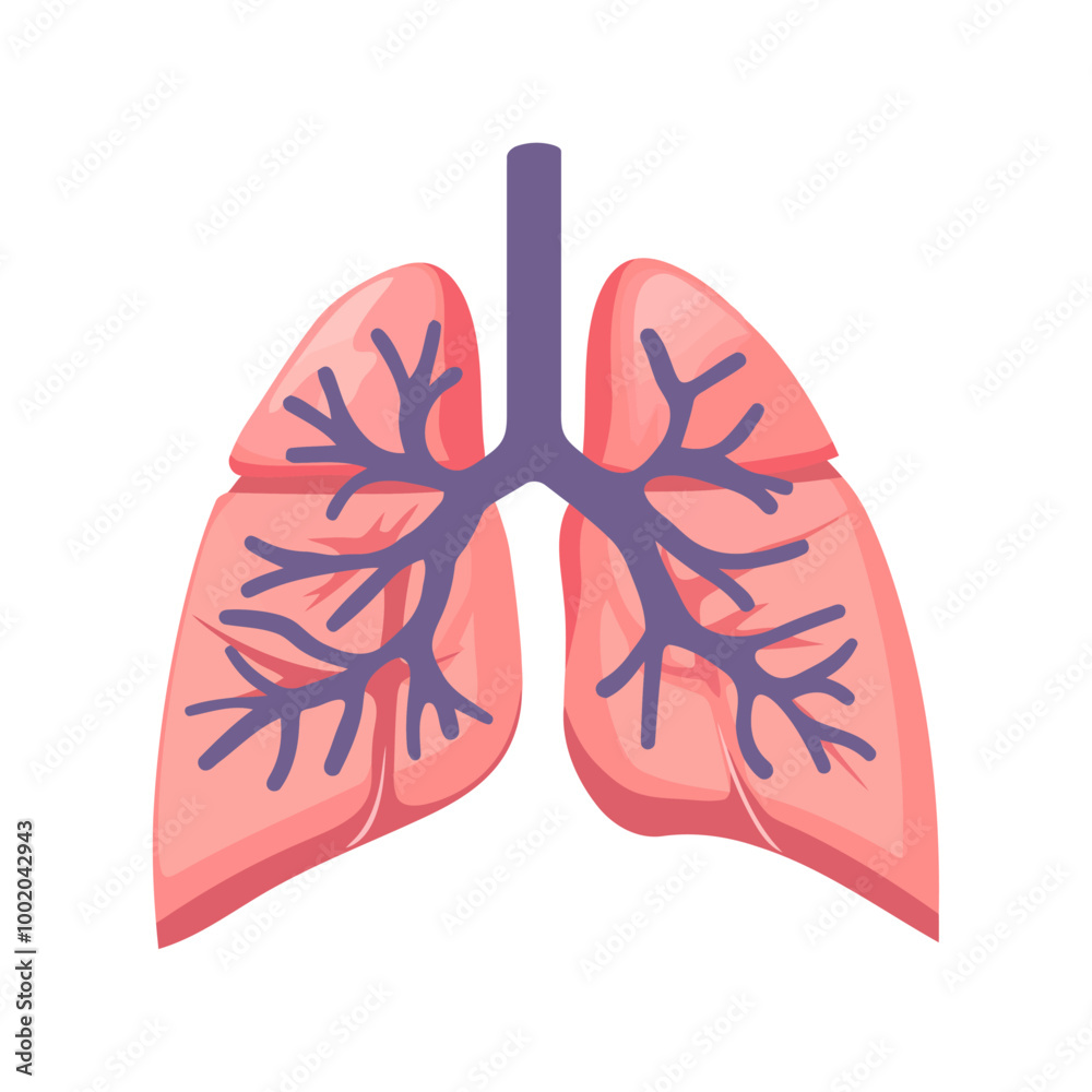 A simplified cartoon illustration of human lungs, showing the bronchial tree and detailed branching. The lungs are pink with purple veins, representing a healthy respiratory system. A simplified cartoon illustration of human lungs, showing the bronchial tree and detailed branching. The lungs are pink with purple veins, representing a healthy respiratory system.