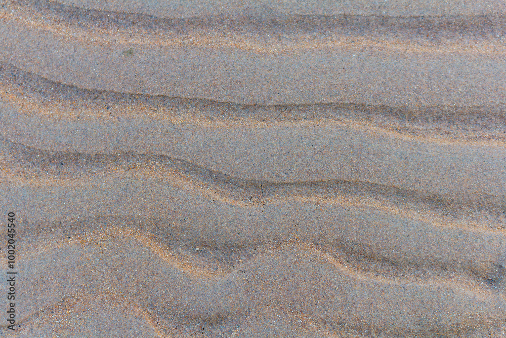 sand texture background. a beautiful pattern left on the sandy beach after low tide sand texture background. a beautiful pattern left on the sandy beach after low tide