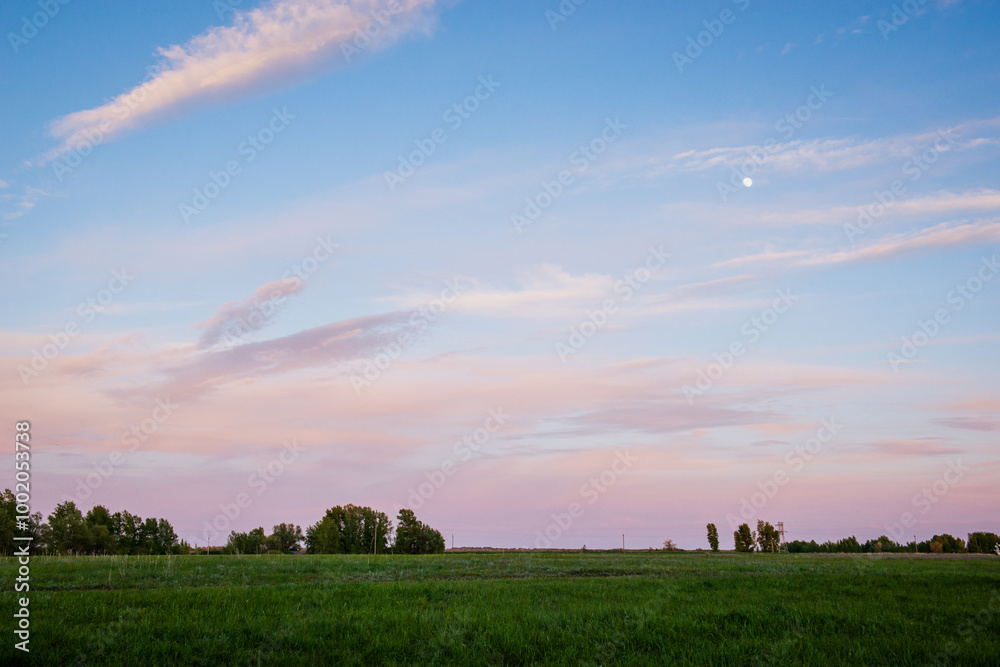 a bright pink sunset in a green field a bright pink sunset in a green field