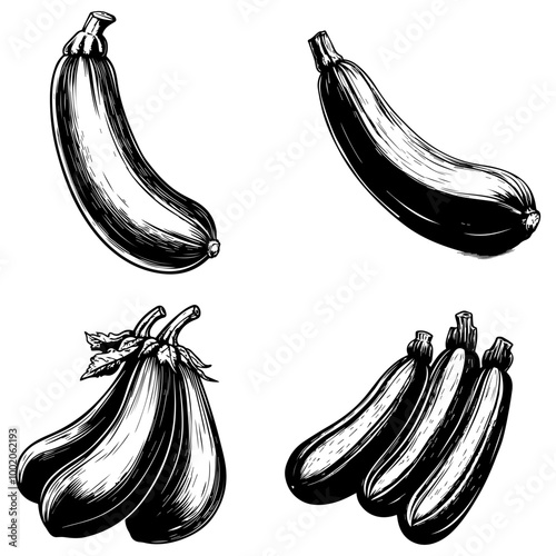 vegetables, editing materials, graphic design needs,
