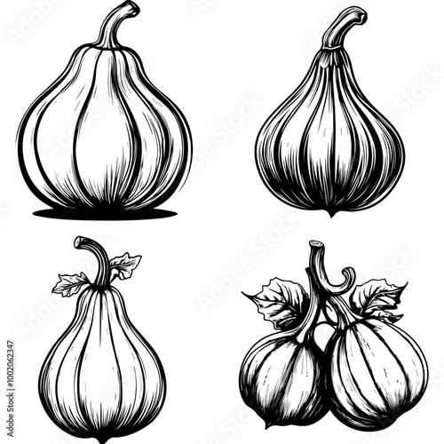 vegetables, editing materials, graphic design needs,