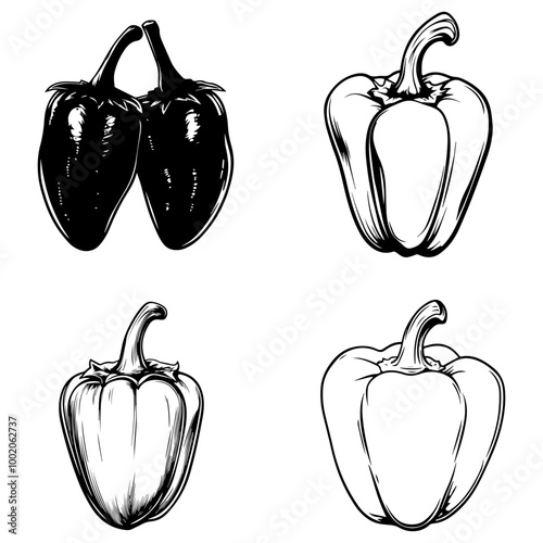 vegetables, editing materials, graphic design needs,