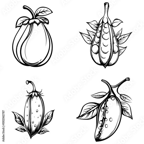 vegetables, editing materials, graphic design needs,