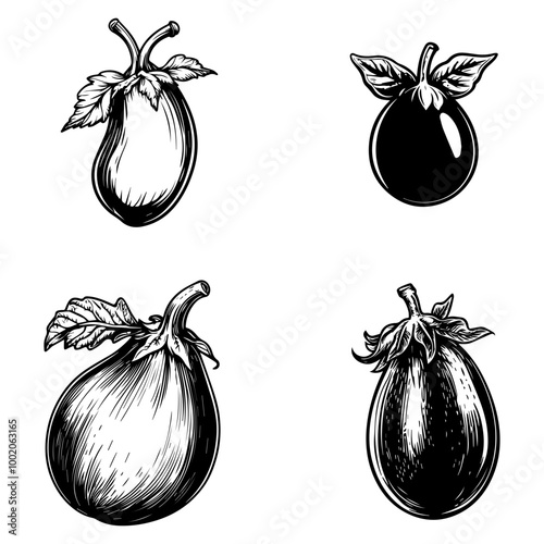 vegetables, editing materials, graphic design needs,