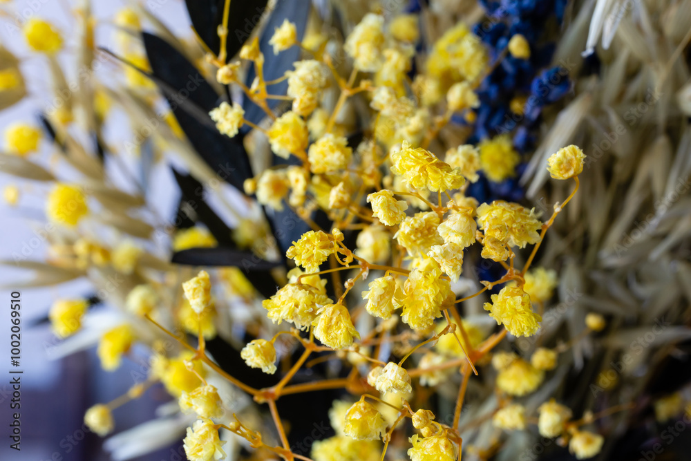 colored dried flowers on a brick wall background colored dried flowers on a brick wall background