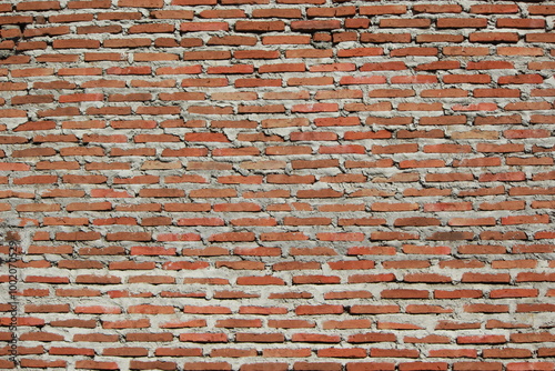 red brick wall photo