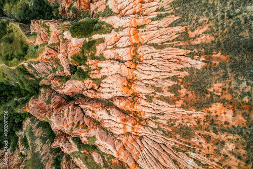 Red rocky slopes Rapa Rosie is a protected geological and floristic reservation area near Sebes alba in Romania photo