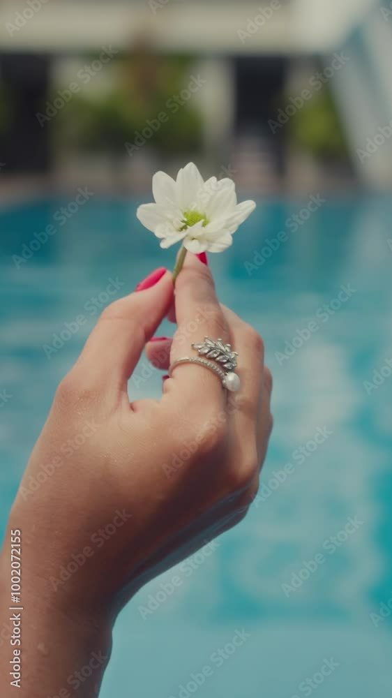 Vertical shot of hand of anonymous woman holding small flower while resting by poolside at resort