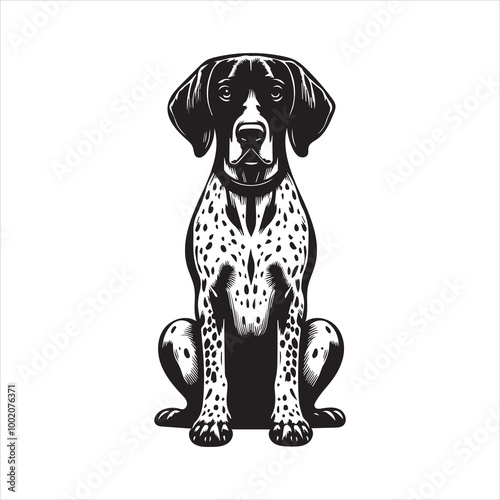 German Shorthaired Pointer Dog sitting Vector illustration in black and white