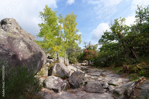 Road of the crying rock in the Franchard Gorges. Fontainebleau forest