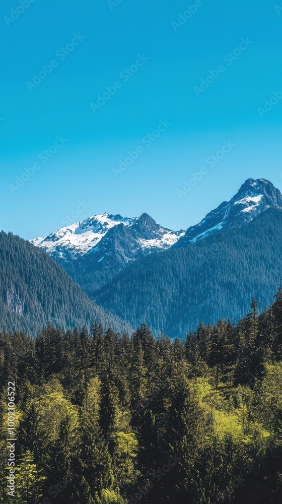 Snowy peaks rise above a vibrant green forest, highlighting nature's beauty on a clear day Snowy peaks rise above a vibrant green forest, highlighting nature's beauty on a clear day