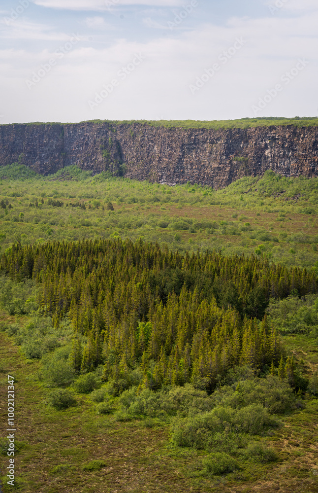 Obraz premium The Asbyrgi Canyon in north Iceland