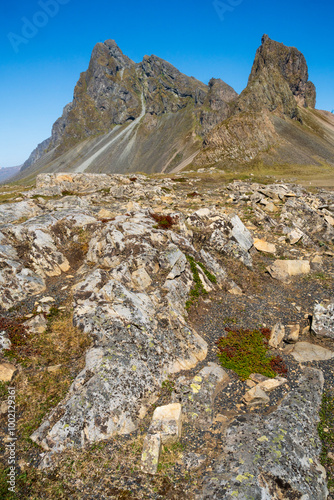 Hvalnes Nature Reserve Beach in Iceland photo