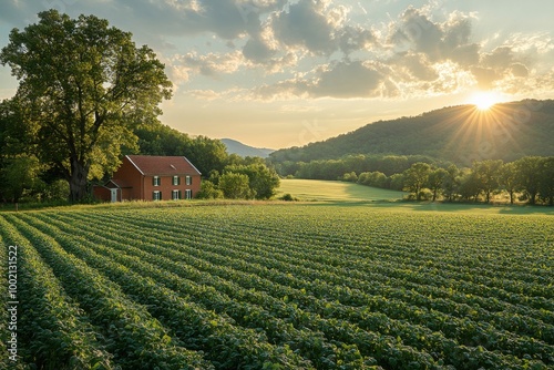 Sunset over Serene Farmhouse Surrounded by Lush Green Fields and Rolling Hills