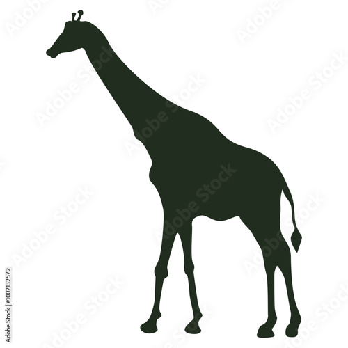 Photography Giraffe Animal Silhouette