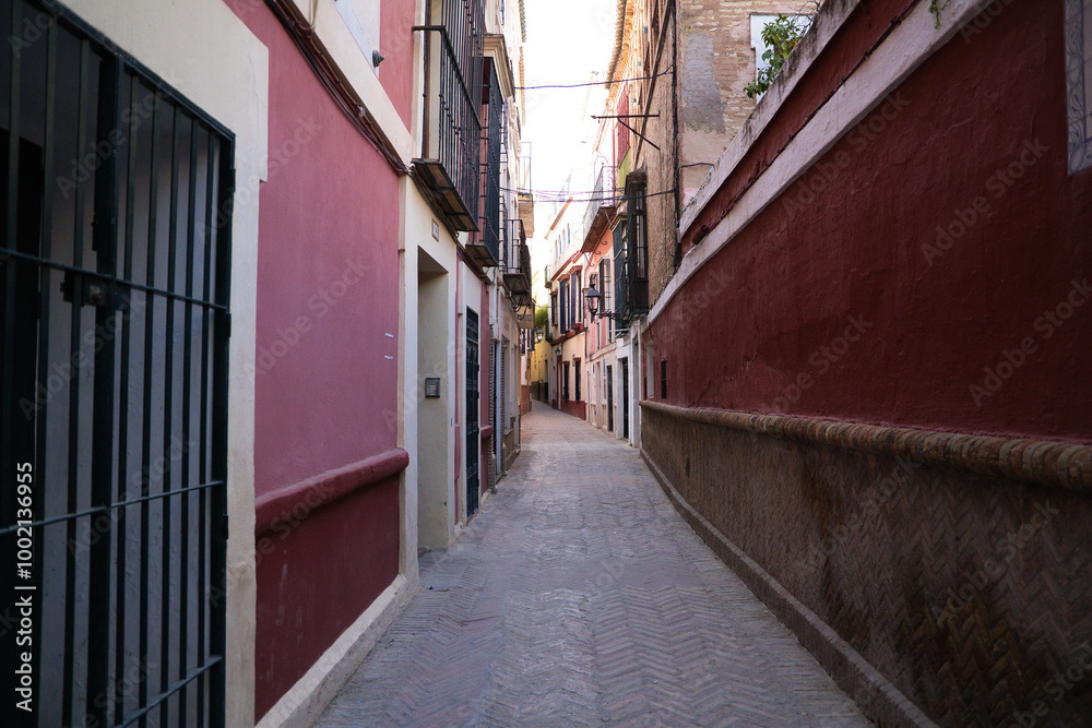 a narrow and picturesque street in the district of santa cruz, in the city centre of Seville, andalusia, Spain. Travel and tourism concept. a narrow and picturesque street in the district of santa cruz, in the city centre of Seville, andalusia, Spain. Travel and tourism concept.
