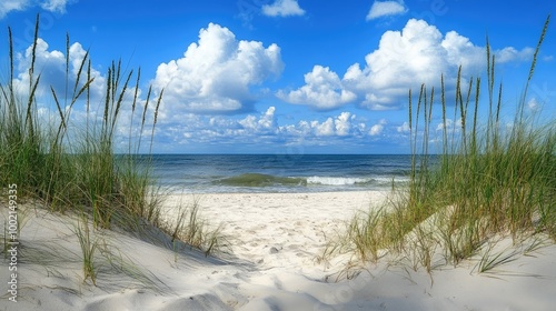 Beach grass framing a view of the ocean. Perfect for a vacation, summer, or travel website.