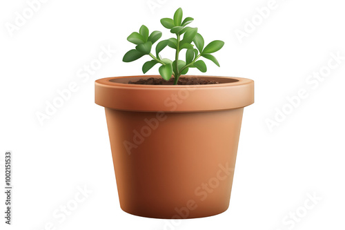 Indoor flower in a pot on a transparent background