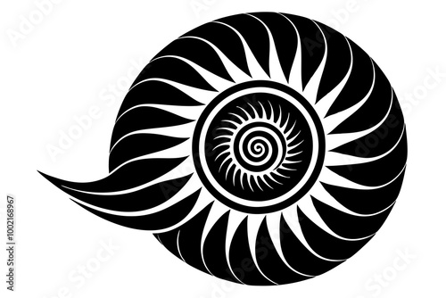  Intricate Seashell Spiral Silhouette Featuring Detailed Nautical Shell Design