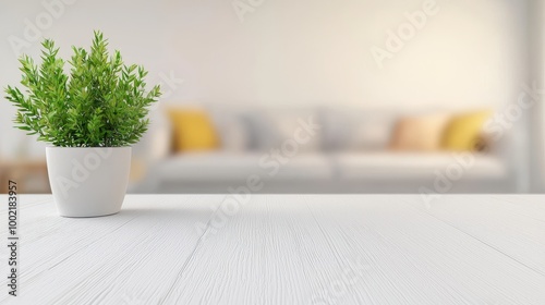 Simple Scandinavian Living Room with Elegant Decor