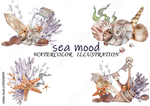 Set. Composition from Sea Shells, Starfish Jars, Corals, Algae, Stones. Undersea world. Watercolor illustration. Lilac Pastel Tones. For Summer Accessories, Textiles, Wallpaper, Cosmetics photo