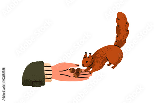Feeding cute squirrel with acorns in hand. Friendly interaction with fluffy rodent. Forest animal eating food, hand giving nuts on palm. Flat vector illustration isolated on white background