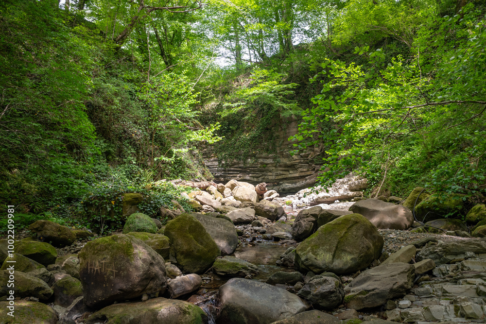 A rocky stream with moss growing on the rocks A rocky stream with moss growing on the rocks