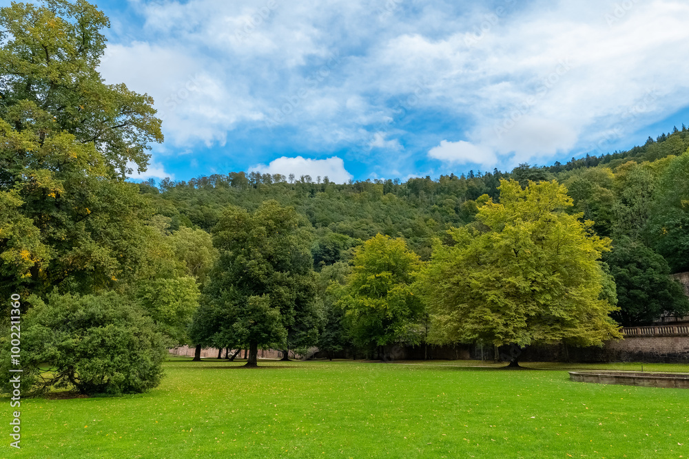 Fototapeta premium lush green field with trees in the background