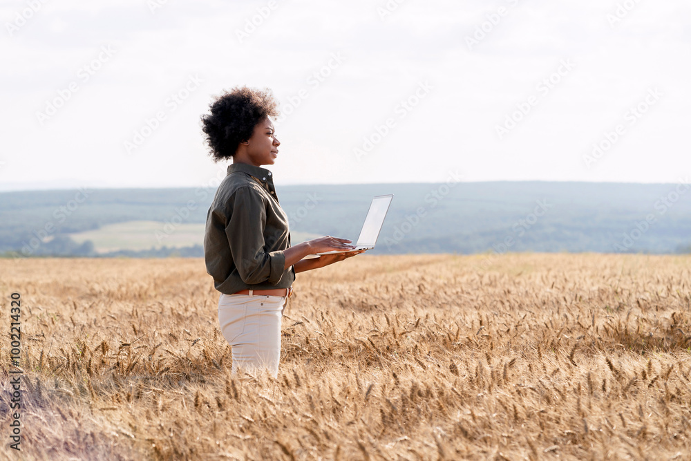 Afro farmer with laptop amidst barley crops in field Afro farmer with laptop amidst barley crops in field