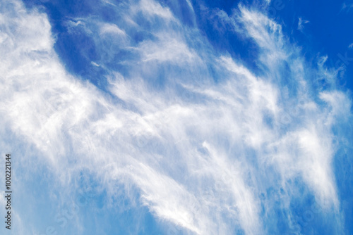 White clouds in the blue sky that are never the same every day.