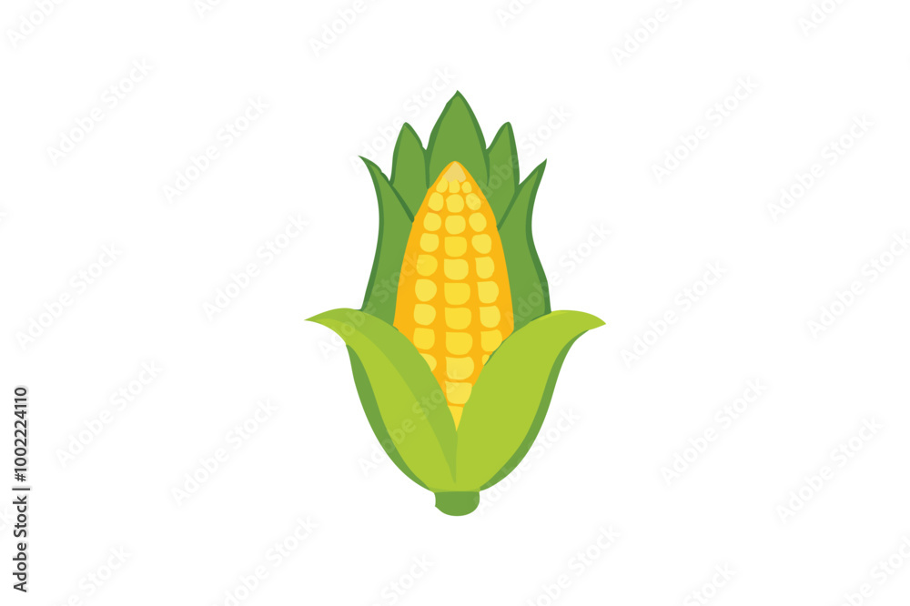 Obraz premium Cute Corn Ash vector art illustration