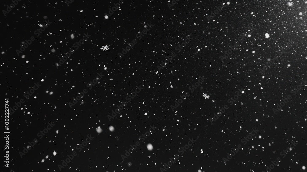 Snow Falling on Black Background in Slow Motion Snow Falling on Black Background in Slow Motion