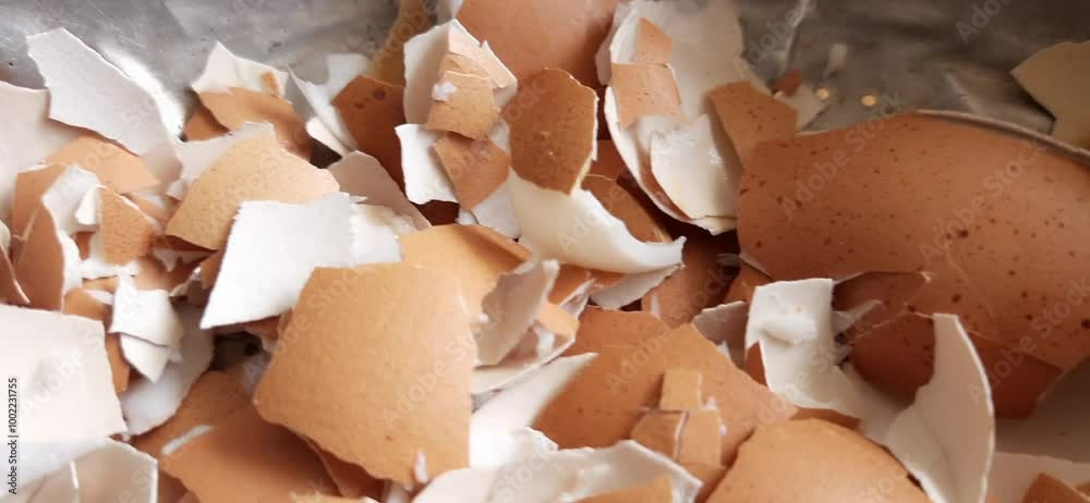 Broken brown eggshells texture background
