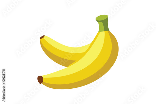 Banana vector art illustration photo